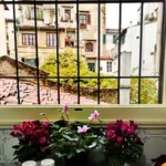 Rent 1 bedroom apartment of 50 m² in Florence