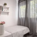 Rent a room in madrid