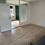 Huur 3 slaapkamer appartement van 50 m² in Rotterdam