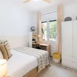 Rent a room of 80 m² in barcelona