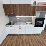 Rent 1 bedroom apartment in Slavičín