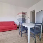 Rent 3 bedroom apartment of 50 m² in Biella