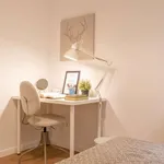 Alquilar 4 dormitorio apartamento en madrid