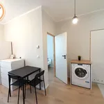 Rent 2 bedroom apartment of 24 m² in Chorzów