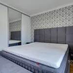 Rent 3 bedroom apartment of 165 m² in Capital City of Prague