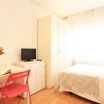 Studio of 33 m² in madrid