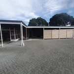 Rent 1 bedroom apartment in Tauranga