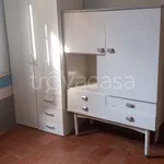 Rent 3 bedroom apartment of 65 m² in Perugia