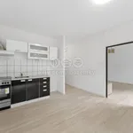 Pronajměte si 2 ložnic/e byt o rozloze 39 m² v Louny