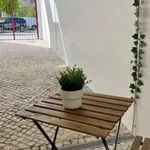 Alugar 1 quarto apartamento de 55 m² em coimbra