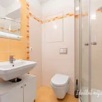 Pronajměte si 1 ložnic/e byt o rozloze 33 m² v Prague