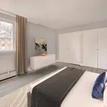  appartement avec 1 chambre(s) en location à Montreal