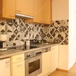 Rent 1 bedroom apartment of 45 m² in budapest