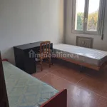 Rent 3 bedroom apartment of 86 m² in Bologna