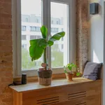 Rent 1 bedroom apartment of 42 m² in Berlin