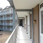 Rent 3 bedroom apartment in De