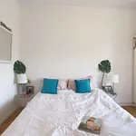 Rent 4 bedroom apartment in madrid