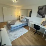 Rent 1 bedroom apartment of 29 m² in munich