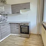 Pronajměte si 3 ložnic/e byt o rozloze 49 m² v Planá