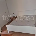 Rent 3 bedroom apartment of 70 m² in Piacenza