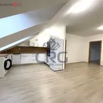 Rent 4 bedroom apartment of 92 m² in Jinačovice