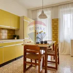 Rent 3 bedroom apartment of 130 m² in Milano