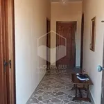 Rent 3 bedroom house of 130 m² in Marsala