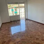 Rent 3 bedroom apartment of 90 m² in Genova