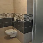 Rent 1 bedroom apartment of 28 m² in České Budějovice