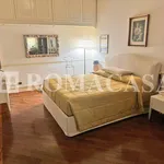 Rent 5 bedroom apartment of 270 m² in Roma