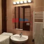 Rent 1 bedroom apartment of 44 m² in Budapest