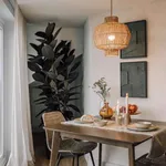 Rent 1 bedroom apartment in lisbon