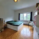 Huur 1 slaapkamer appartement in Uccle