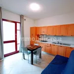 Rent 2 bedroom apartment of 45 m² in Pisa