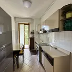 Rent 2 bedroom apartment of 73 m² in Milano