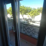 Rent 5 bedroom apartment in Lisbon