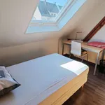 Rent 1 bedroom apartment of 15 m² in Strasbourg