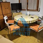 Rent 4 bedroom house of 17 m² in empoli