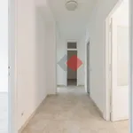 Affitto 4 camera appartamento di 120 m² in Roma