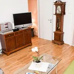 Rent 2 bedroom apartment of 55 m² in Wien