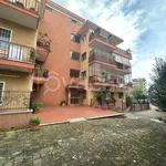 Rent 5 bedroom apartment of 148 m² in Roma