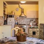 Rent 2 bedroom apartment of 65 m² in Viareggio