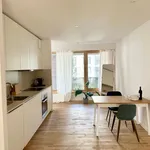 Rent 2 bedroom apartment of 60 m² in München