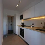 Rent 3 bedroom apartment in Lisbon