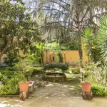 Rent 1 bedroom apartment in rome