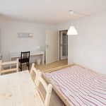 Rent 2 bedroom student apartment of 12 m² in München