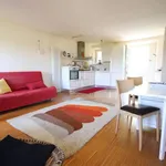 Rent 4 bedroom apartment of 80 m² in Lucca