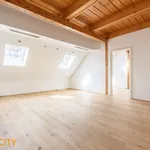 Miete 5 Schlafzimmer wohnung von 225 m² in Vienna