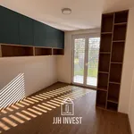 Rent 1 bedroom house of 150 m² in Capital City of Prague