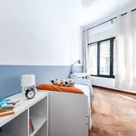 Rent 4 bedroom apartment in Bologna